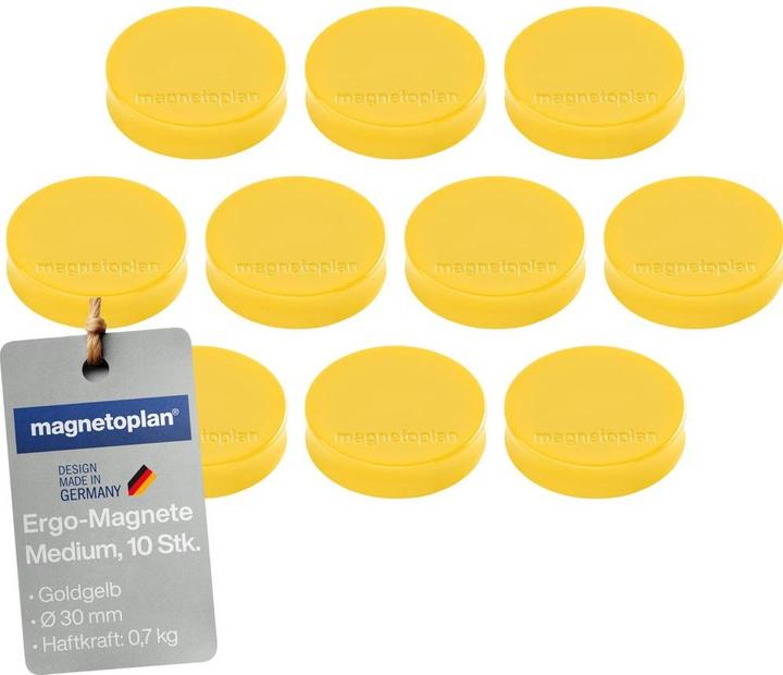 Image du produit Magnetoplan Aimant Ergo (1x)