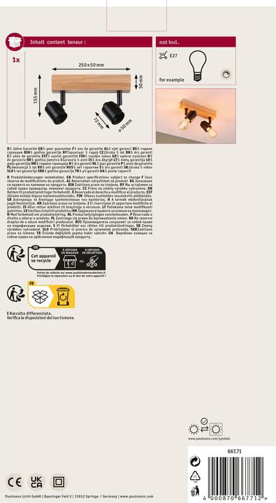 Image du produit Paulmann Arvid (E27)