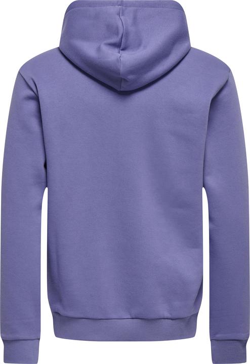 Produktbild Only & Sons Onsceres Hoodie Sweat Noos (S)