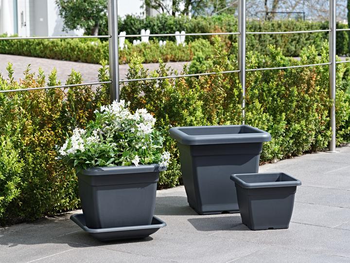 Immagine prodotto Herstera Plato Nazca