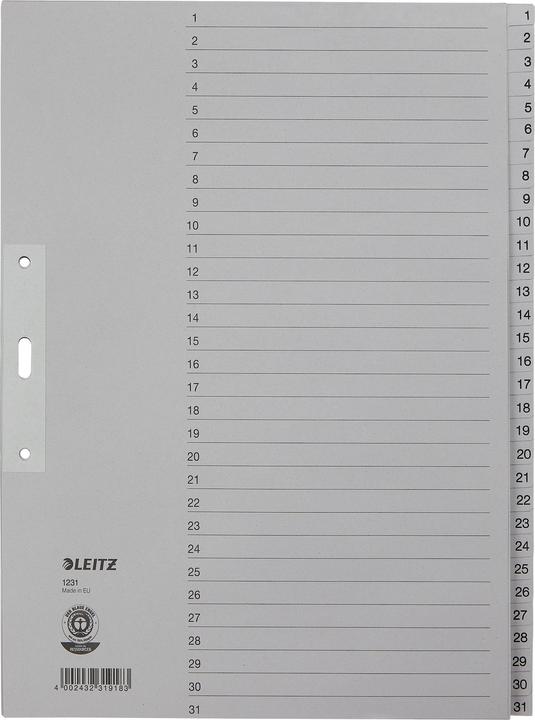 Actual product image Leitz Register paper gray