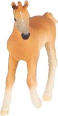 Produktbild Schleich Araber Fohlen