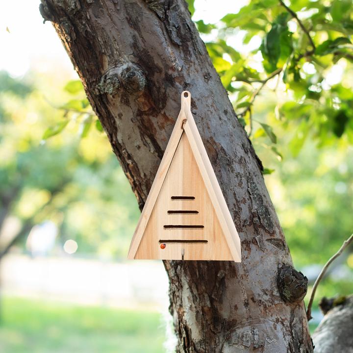 Immagine prodotto Relaxdays La casa delle coccinelle (Coccinelle)