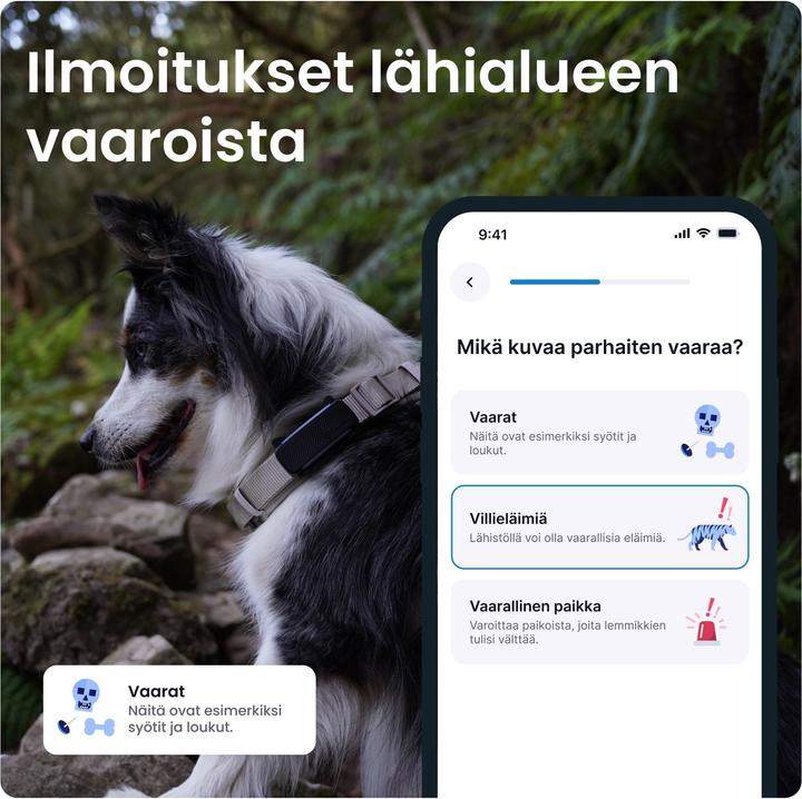 Immagine prodotto Tractive GPS Tracker Dog 6 (Cane, Passeggiare)