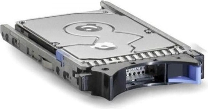 IBM 1TB 6Gbps NL 2.5" SAS SS SFF (1 TB, 2.5")