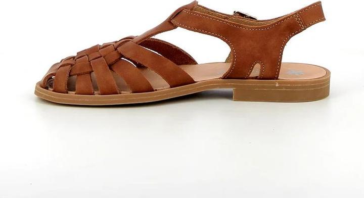 Nuovo Cognac