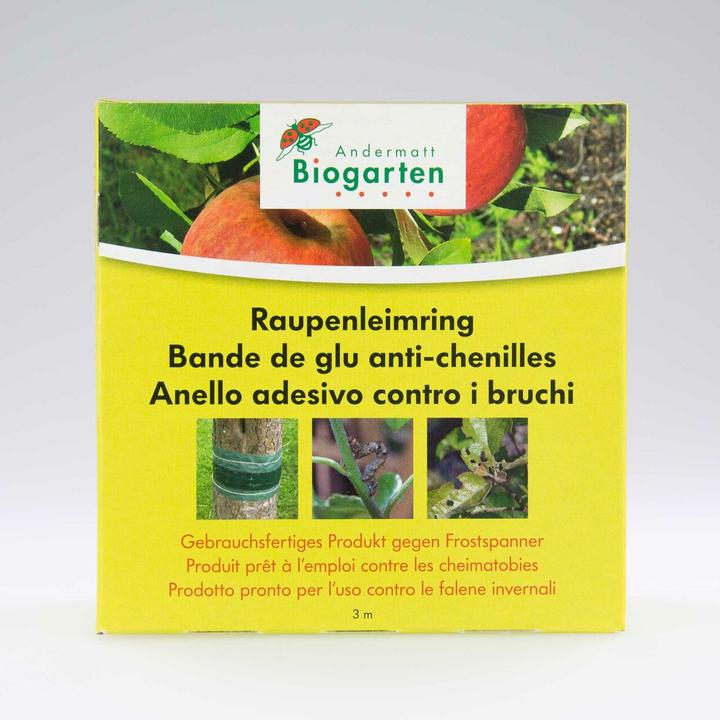 Actual product image Andermatt Biogarten Anti-crawler glue strip (Caterpillars)