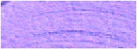 Produktbild Amsterdam Acrylfarbe Standard Series 821 (120 ml)