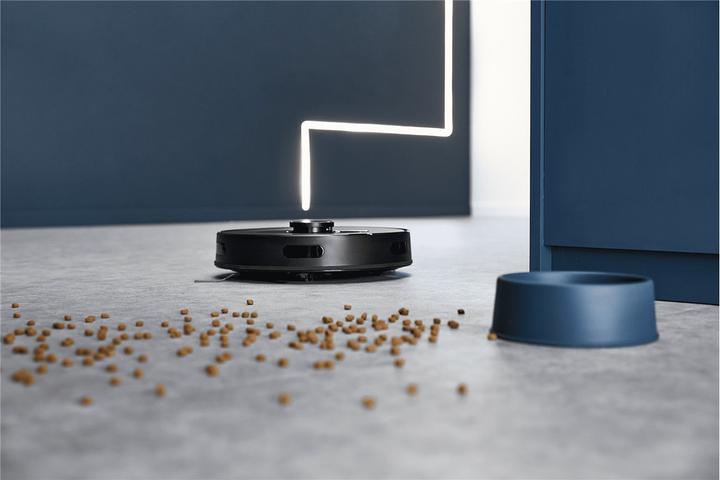 Actual product image Rowenta RR8595WH (2700 Pa)