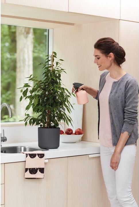 Produktbild Elho b.for soft (16 cm)
