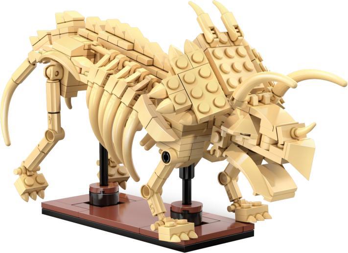 Actual product image Cada Dinosaur Fossils - Triceratops