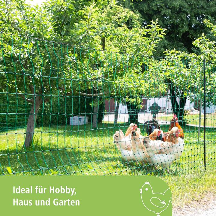 Produktbild Kerbl Geflügelnetz