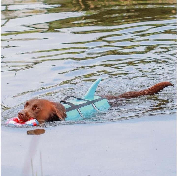 Image du produit Nobby Sharki (M, Gilet de sauvetage pour chien)