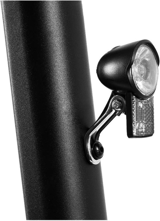 Produktbild CityBlitz Traveller (20 km/h, 30 km, 250 W)