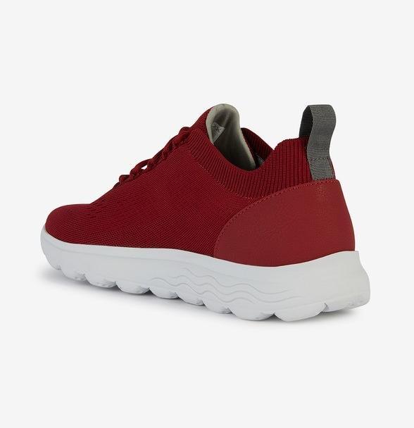 Actual product image Geox Sneaker (41)