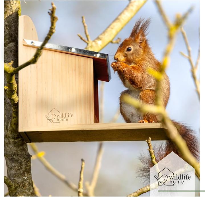 Produktbild Wildlife home Eichhörnchen Futterhaus