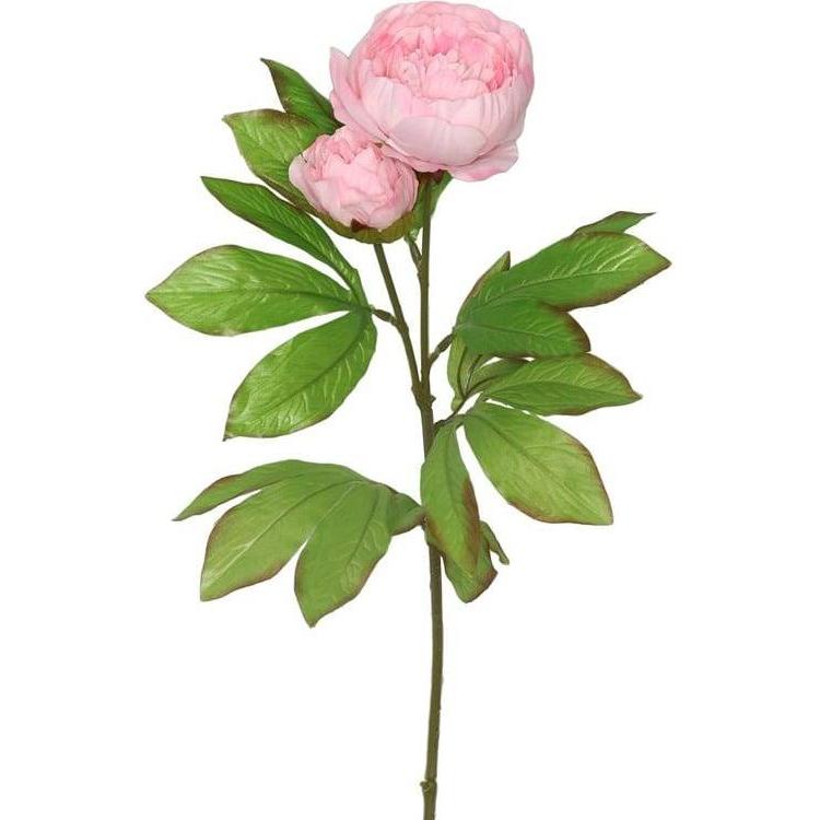 Domoletti, Pianta artificiale, ARTIFICIAL FLOWER PEONY 8025.30 PI (68 cm)