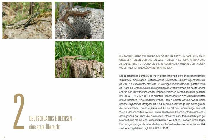 Produktbild Heimische Eidechsen im Freiland und Terrarium (Deutsch, Werner Lantermann, Yvonne Lantermann, 2017)