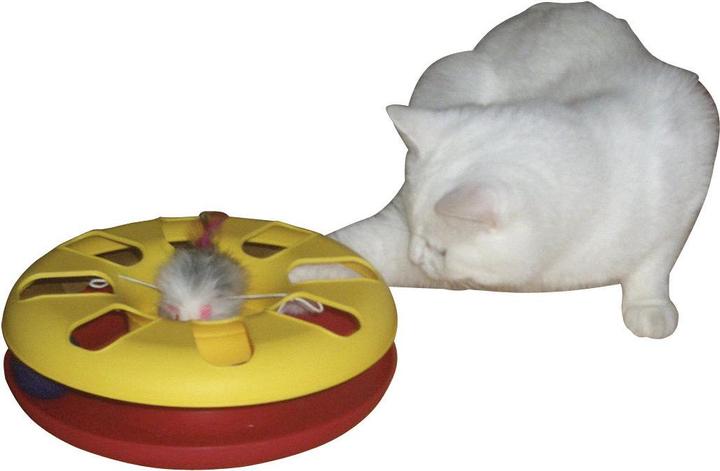 Produktbild Kerbl RACING WHEEL Katzenspiel- zeug ø 24 cm, farbl. sort. (Beschäftigungsspielzeug Katze)