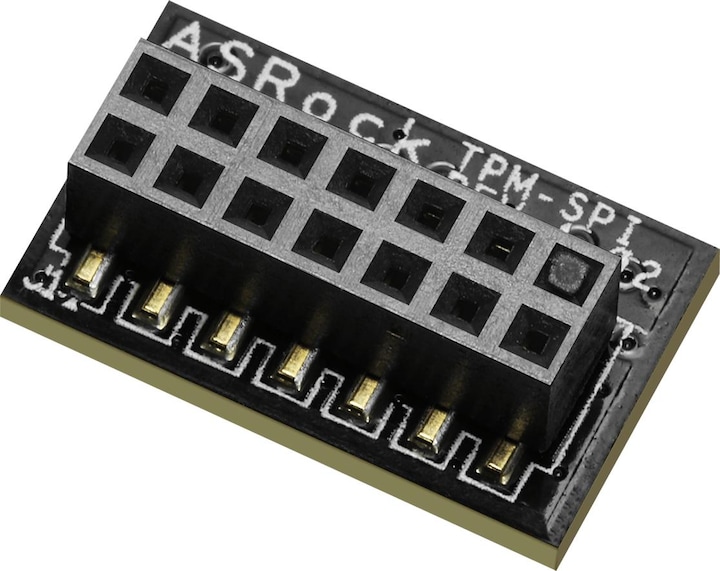 Actual product image AsRock TPM-SPI modules