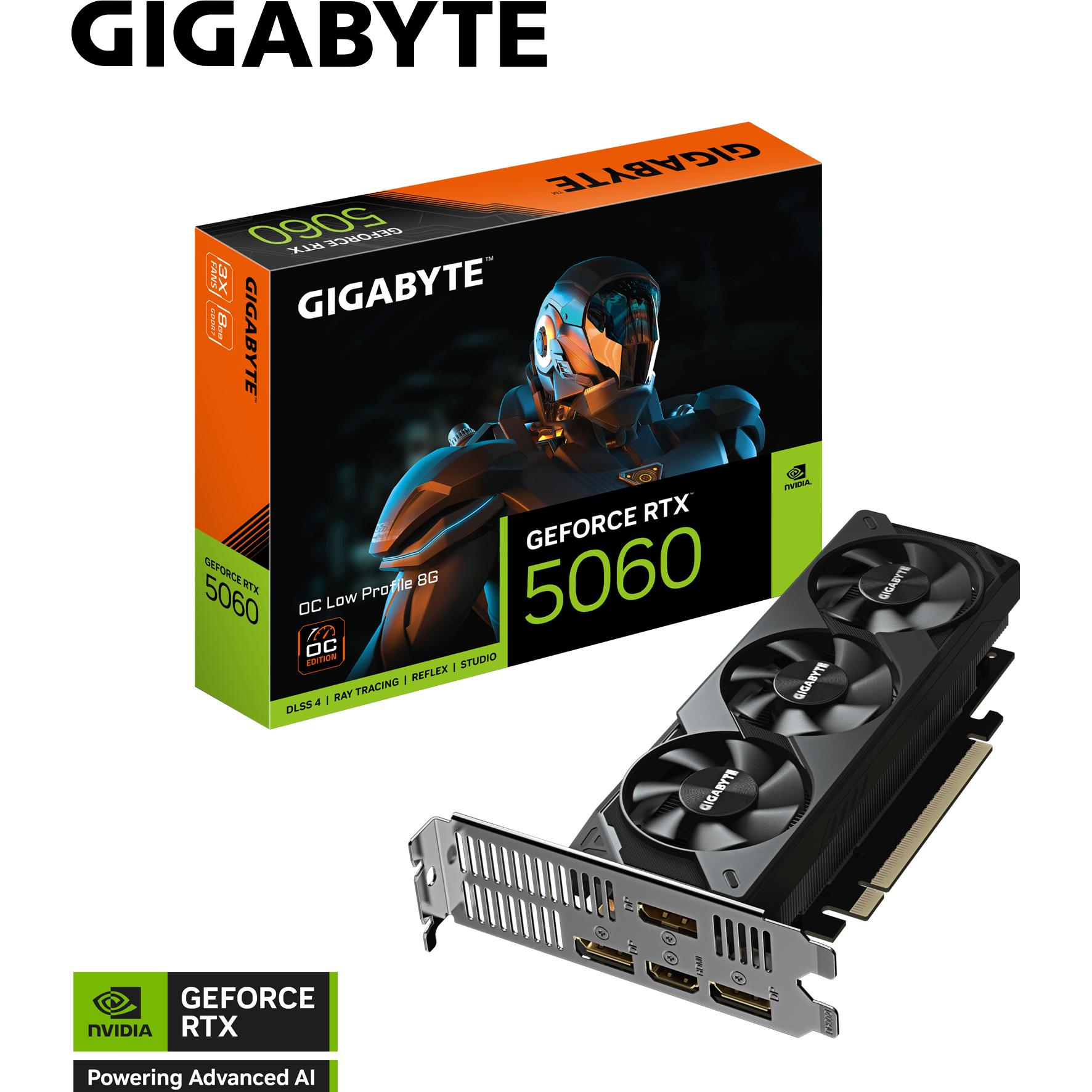 Gigabyte GeForce RTX 5060 OC Low Profile (8 GB), Grafikkarte