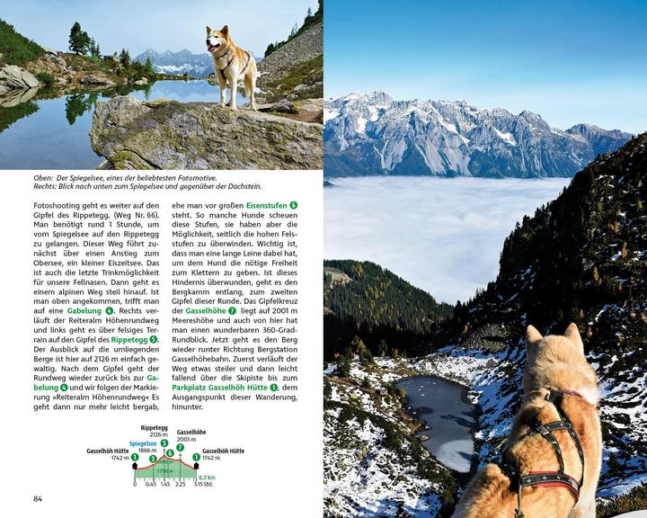 Produktbild Wandern mit Hund Steiermark (Deutsch, René Apfelknab, 2023)