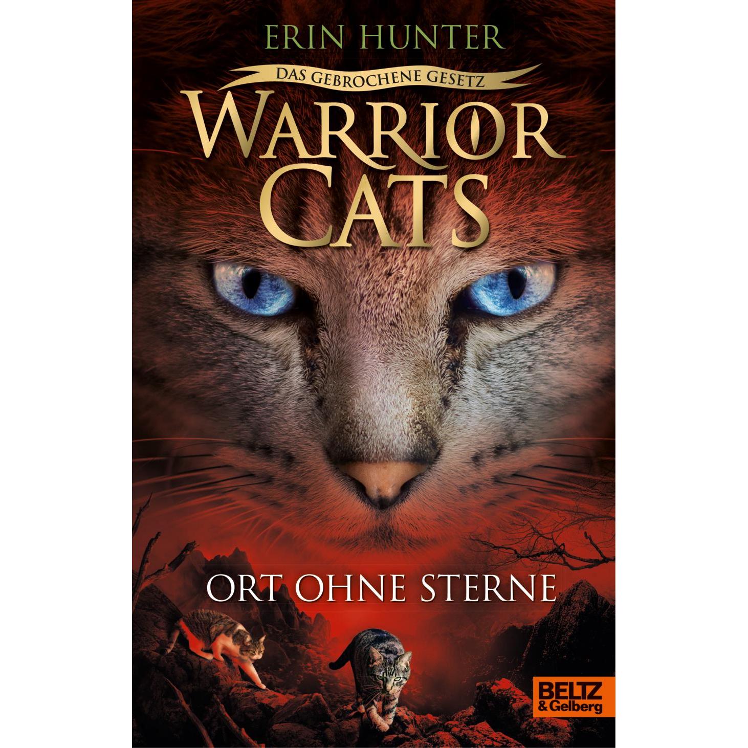 Warrior Cats - Das gebrochene Gesetz. Ort ohne Sterne, Kinderbücher von Erin Hunter