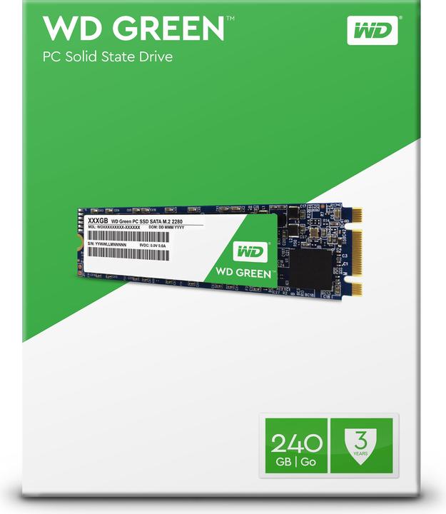 Actual product image WD Green (240 GB, M.2 2280)