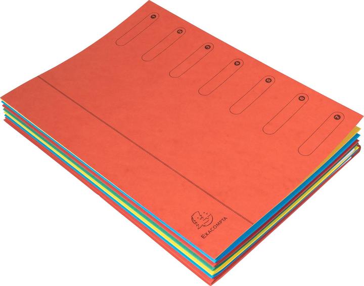 Image du produit Exacompta Fardes de classement avec dos à soufflets (A4, 80 x)