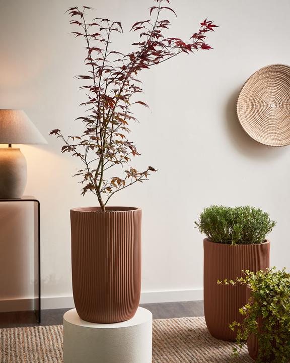 Produktbild Beliani Eantio