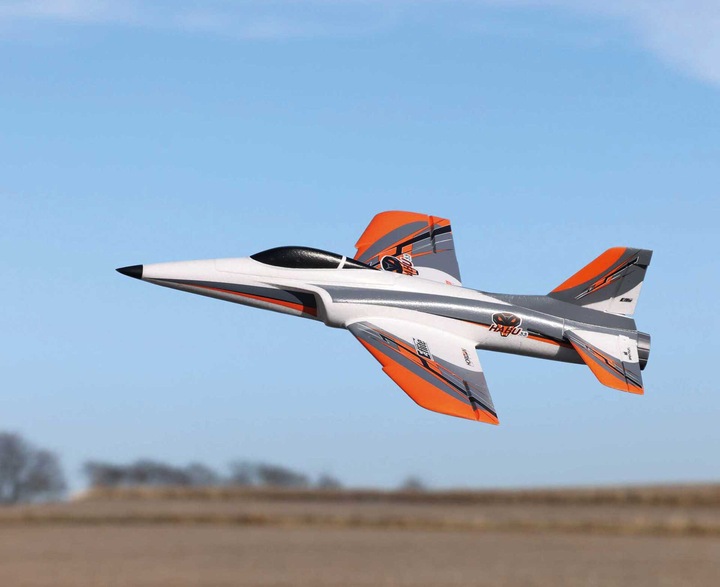 Immagine prodotto E-Flite Habu SS (Jet)