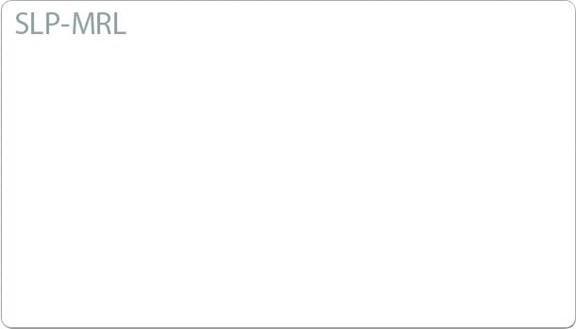 Immagine prodotto Seiko SLP-MRL Etichette multiuso (2.80 cm)