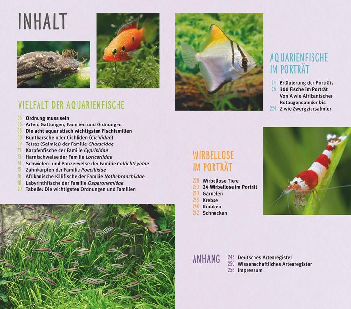 Actual product image Aquarienfische von A bis Z (German, Ulrich Schliewen, 2017)