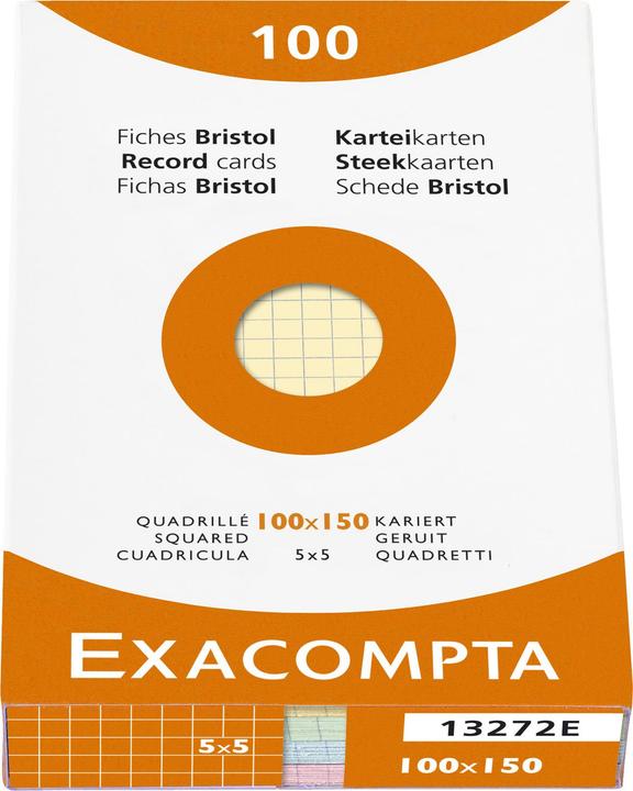 Exacompta Karteikarten (100 x 150 mm, 205 g/m², 100 x)
