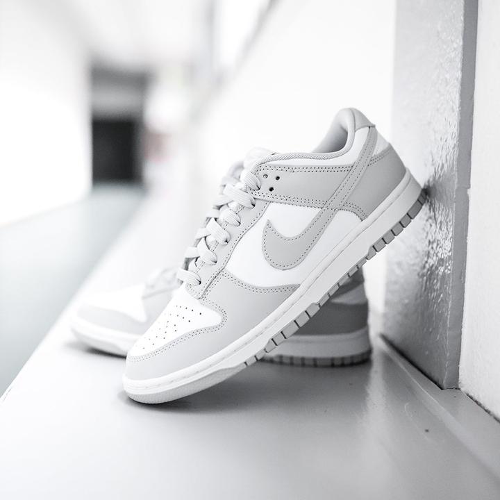 Image du produit Nike Dunk Low (40.5)