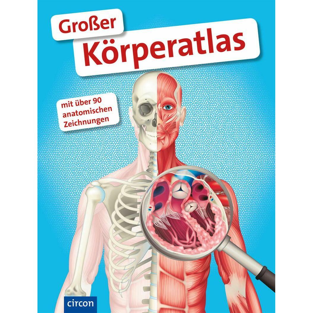 Grosser Körperatlas, Kinderbücher von Stefanie Zysk, Elke Trautmann