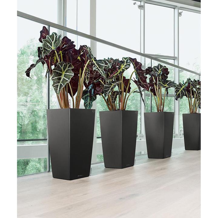 Produktbild Lechuza Cubico (22 cm)