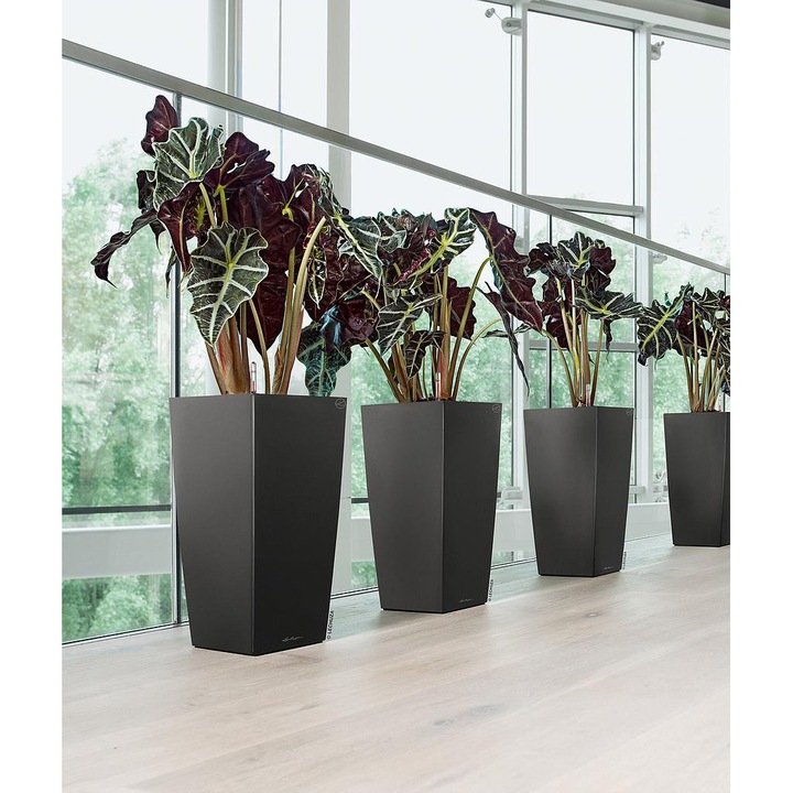 Immagine prodotto Lechuza Cubico (22 cm)