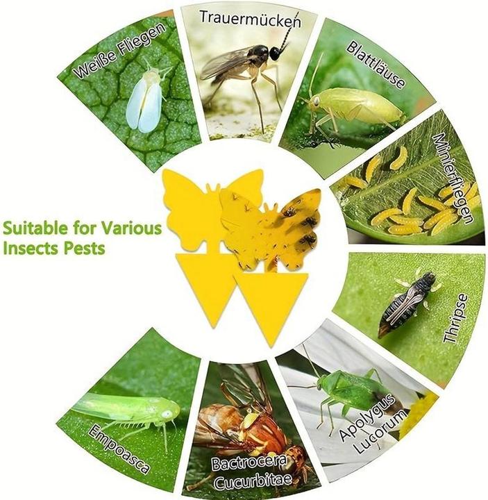 König Design Flypaper yellow boards (20 pieces)