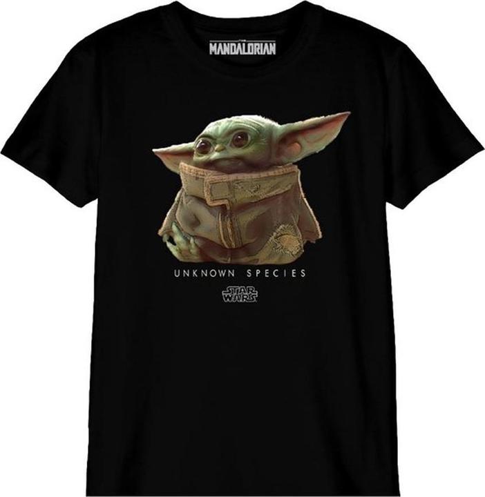 Produktbild Star Wars TShirt Logo (152)