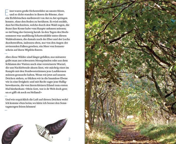 Actual product image Eine Halligfahrt (German, Theodor Storm, 2018)