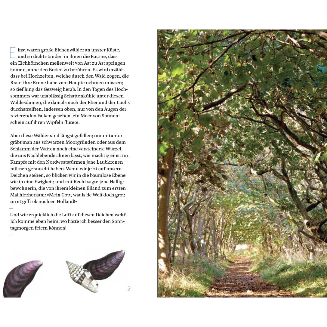 Thumbnail - Eine Halligfahrt, Belletristik von Theodor Storm