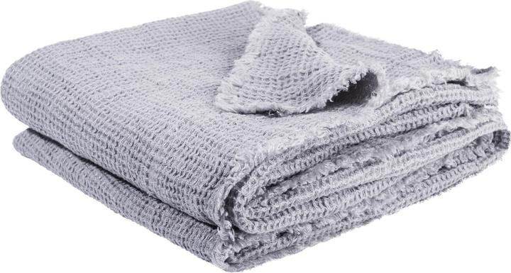 Immagine prodotto Zoeppritz Ape (180 x 130 cm)