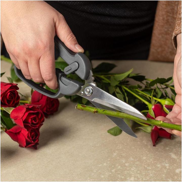 Immagine prodotto Kuhn Rikon Forbici da cucina professionali Plus (24.50 cm)