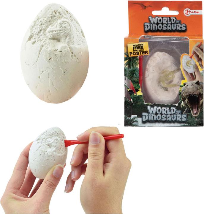 Actual product image Toi-Toys World of Dinosaurs excavation set dino egg