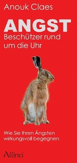 Produktbild Angst (Deutsch, Anouk Claes, 2008)