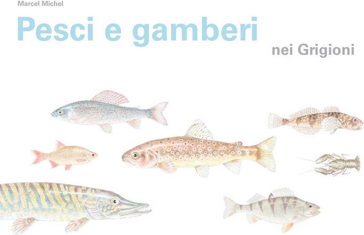 Pesci e gamberi nei Grigioni