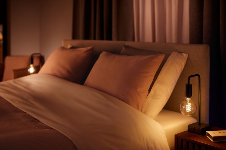 Actual product image Philips Hue Philips Globe G93 Filament (E27, 7 W, 550 lm, 1 x, G)