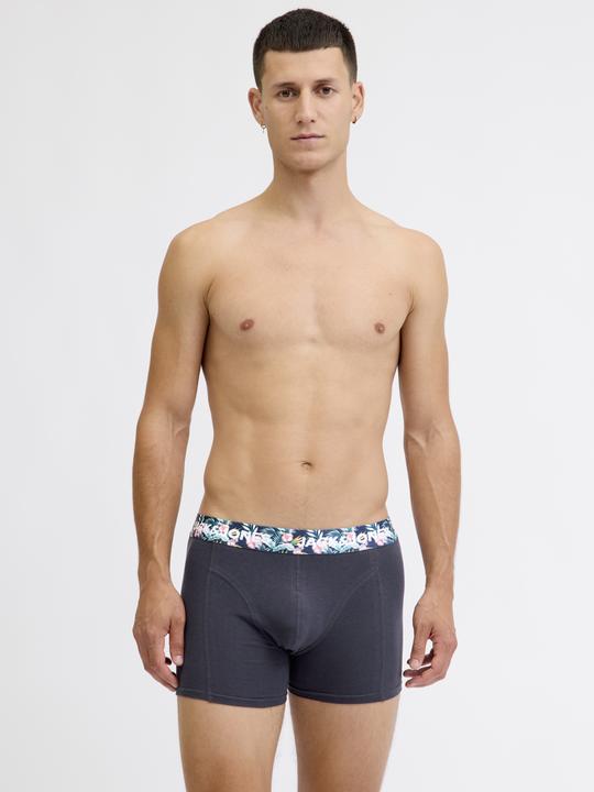 Produktbild Jack & Jones Jacsean Flower Trunks 3 Pack Styd (M, 3er Pack)