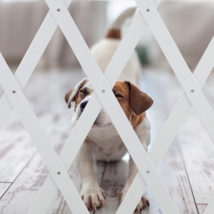 Actual product image Relaxdays Dog barrier (150 cm)